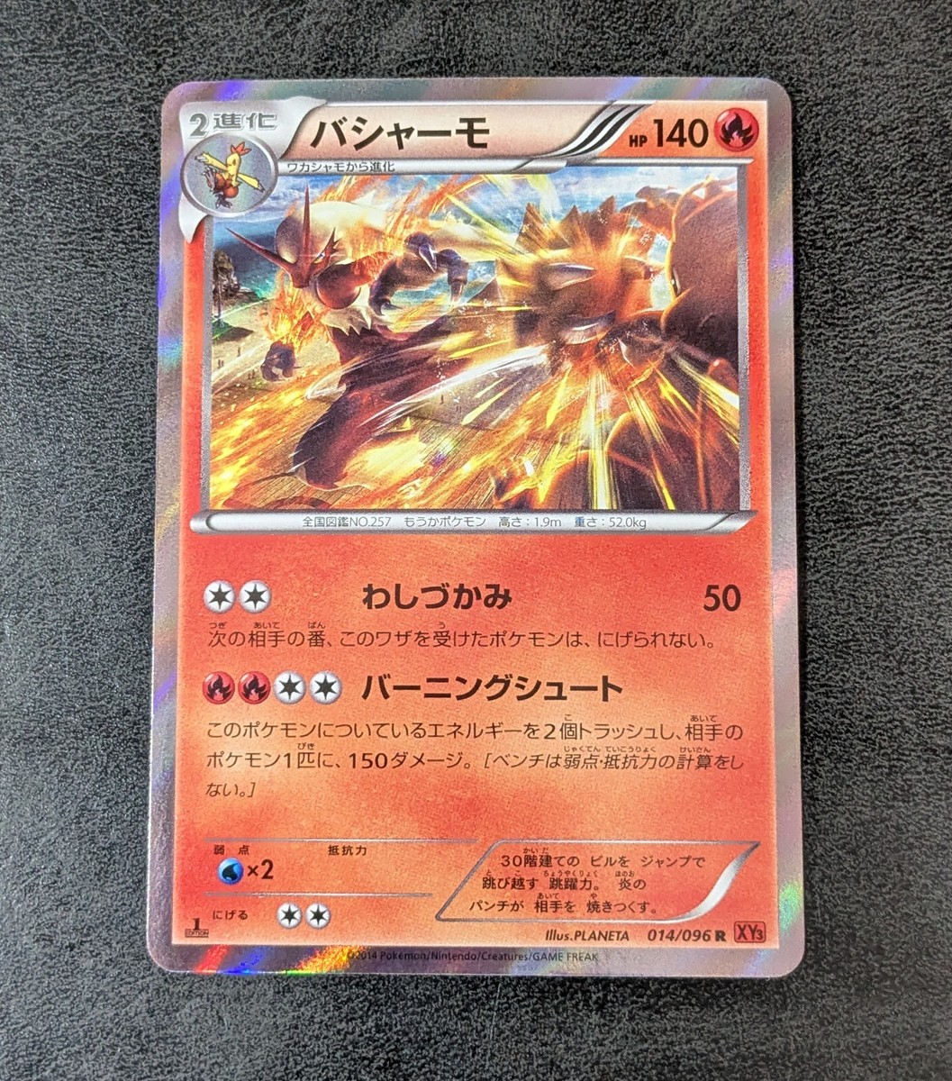 squirtle pokemon card Squirtle Pokemon Base Set 1st Edition #63 SGC 8 main image 0
