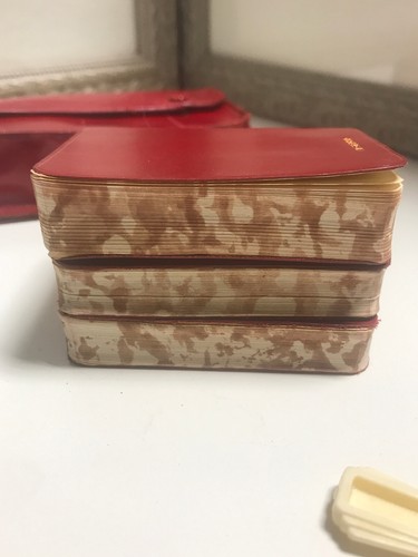 Vtg Holt Renfrew Miniature Dictionaries Case Magnify Glass Italian French German - Picture 13 of 14