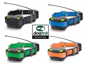 dogtra on ebay