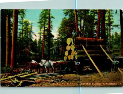 Postcard Loading Timber Lumber Scene Washington 