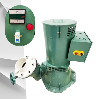 Hydroelectric Generator Auto Voltage Stabilizer Leakage Protection 220V 1PH 10kw