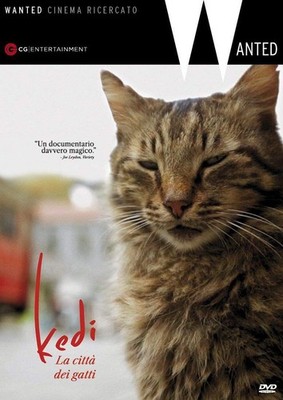 Neue DVD - Kedi - Die Stadt der Katzen 2016 - Wanted 