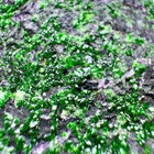 Bild 6 von 16
