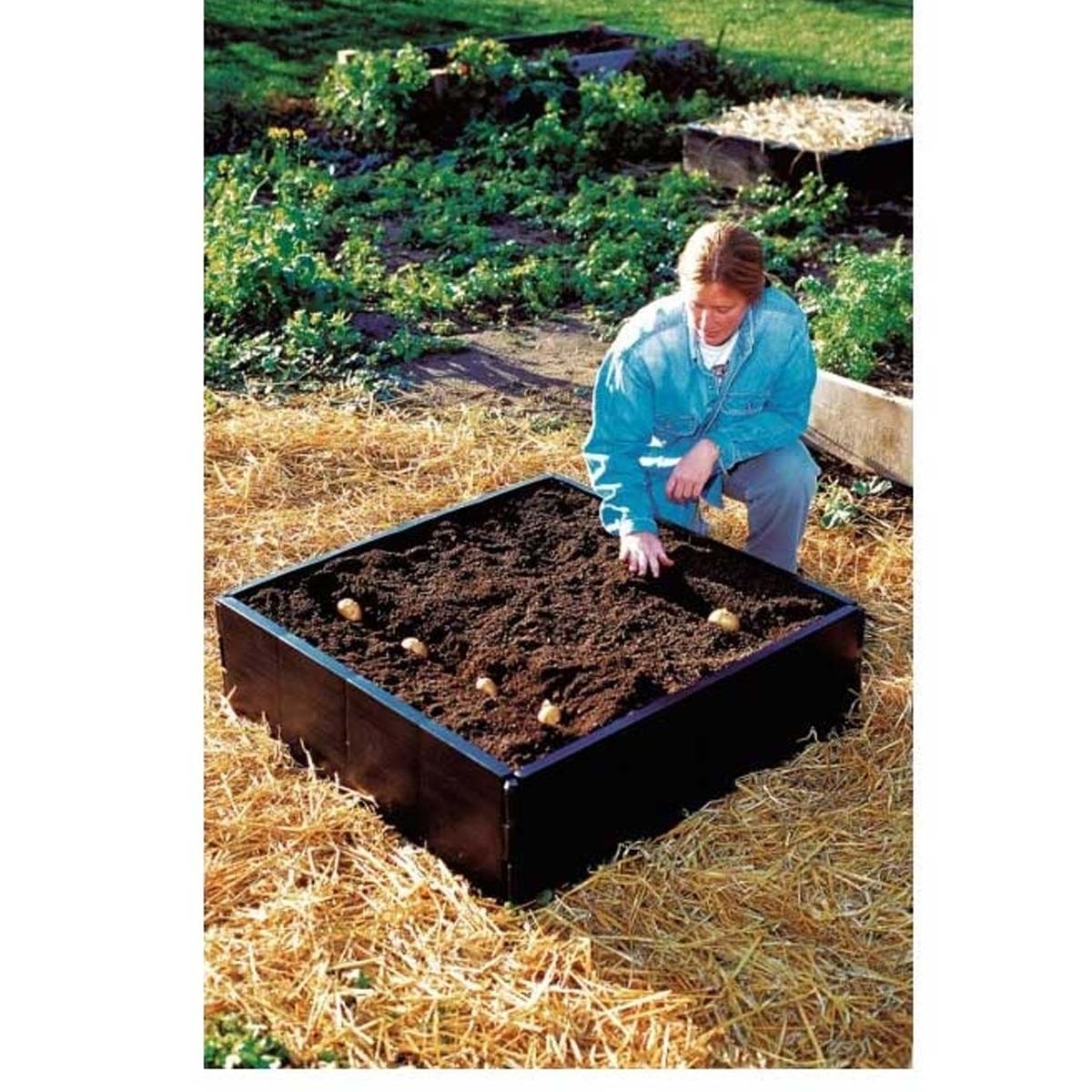 Garland Garden Plant Crops Raised Grow Bed - 3ft x 3ft