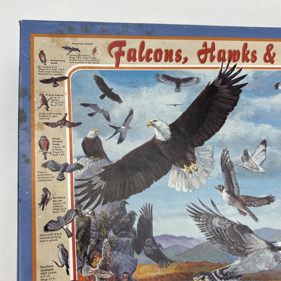 Rompecabezas Falcons Hawk & Eagles 1000 piezas White Mountain 2006 Birds of Prey Foto 3 de 4