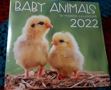  2022 Baby Animals 16 Month Mini Wall Calendar 5.5" X 6" closed 6" X 11" open