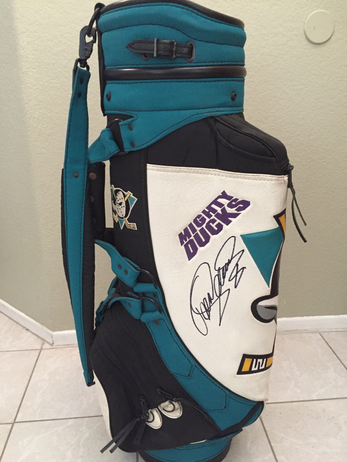 ザンボニー型貯金箱 ② Mighty Ducks