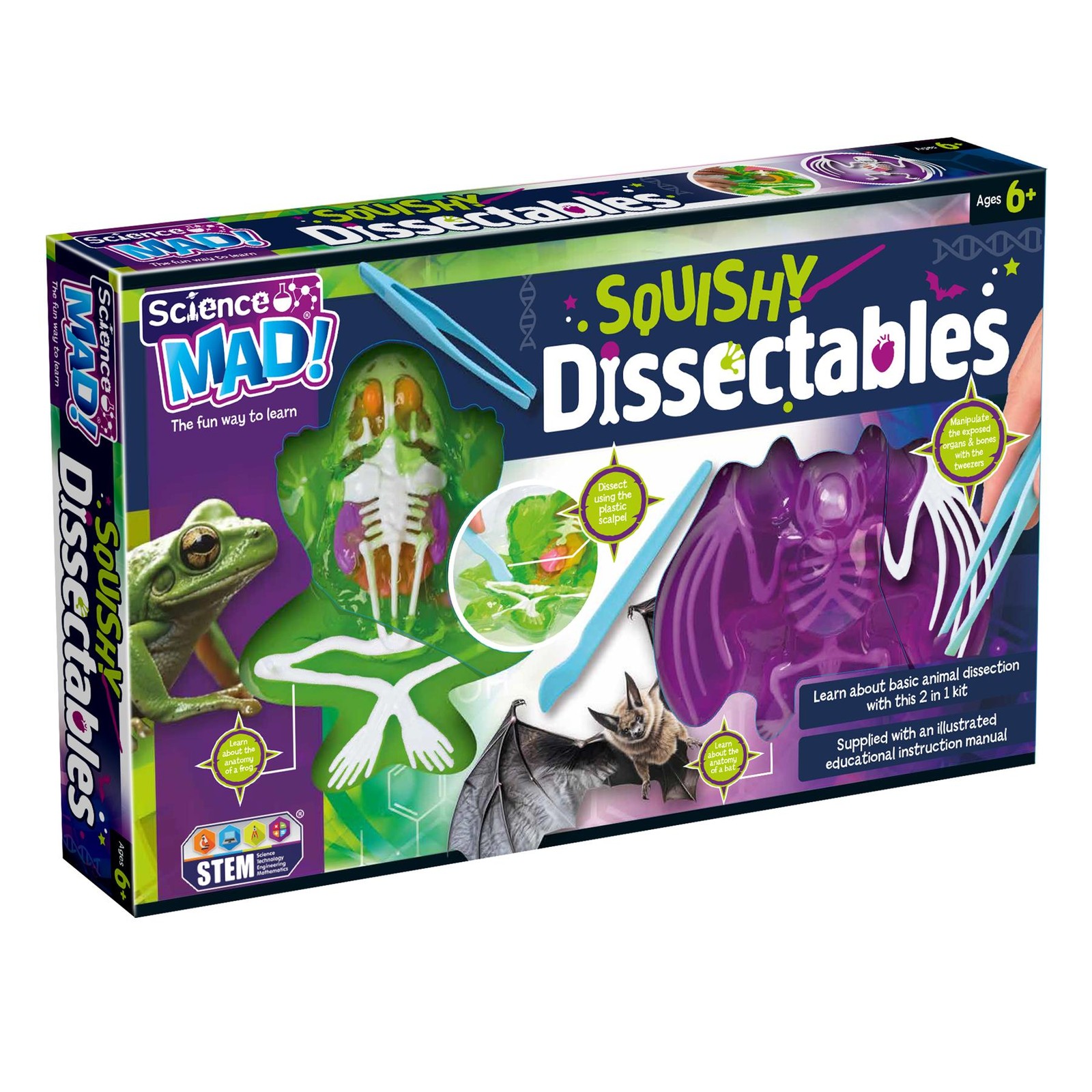 Squishy Dissectables Science Kit Frog and Bat Anatomy Biology Kit  STEM Toy