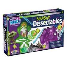 Squishy Dissectables Science Kit Frog and Bat Anatomy Biology Kit  STEM Toy