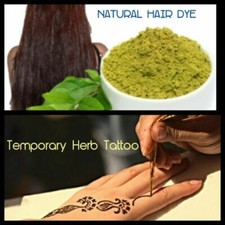 Henna Lawsonia Inermis - mehndi - Dye Plant - Henna Tattoo - 150 Sementes