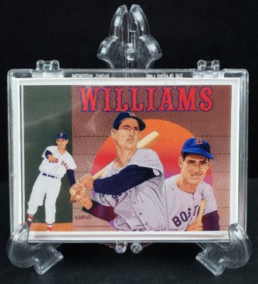 1992-93 Upper Deck Baseball Heroes Ted Williams Set 28-36 w