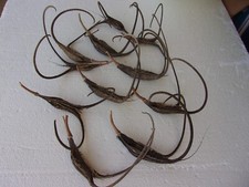 10 NATURAL 9"-13" medium DEVIL'S CLAW SEED PODS FOR CRAFTS, DRIED PROJECTS