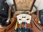 HandMade Violin Outfit 4/4 / 1 PIECE BACK / Gagliano Oblong case GG-305 — photo 7