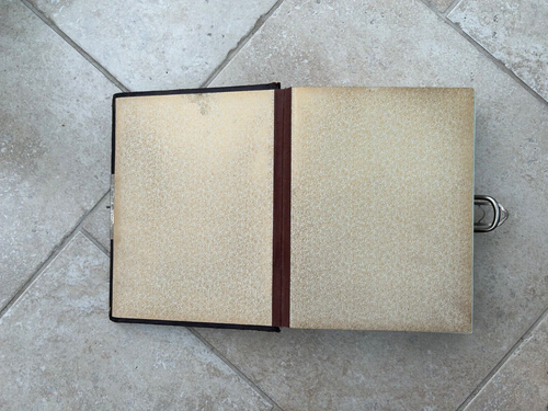 Vintage Antique Victorian Leather Embossed Card Photo Album - unused - Picture 3 of 15