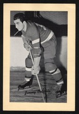 JIMMY ORLANDO DETROIT RED WINGS BEEHIVE HOCKEY PHOTO--GROUP 1--NEAR MINT
