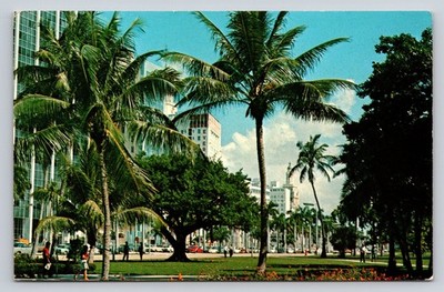 Vintage Miami Florida Postcard Bayfront Park Biscayne Blvd Skyline