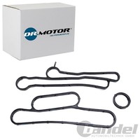 Dr.Motor Automotive Dichtungssatz ÖLkÜHler Passend FüR Ford Transit | DRM0410S