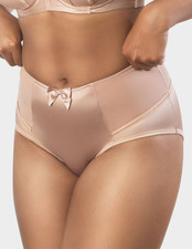 NWT Parfait Charlotte High Waisted Brief