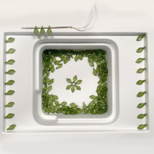 Green Leaf Beads for Jewelry Making   200PCS Acrylic Plant Charms, Transparent T