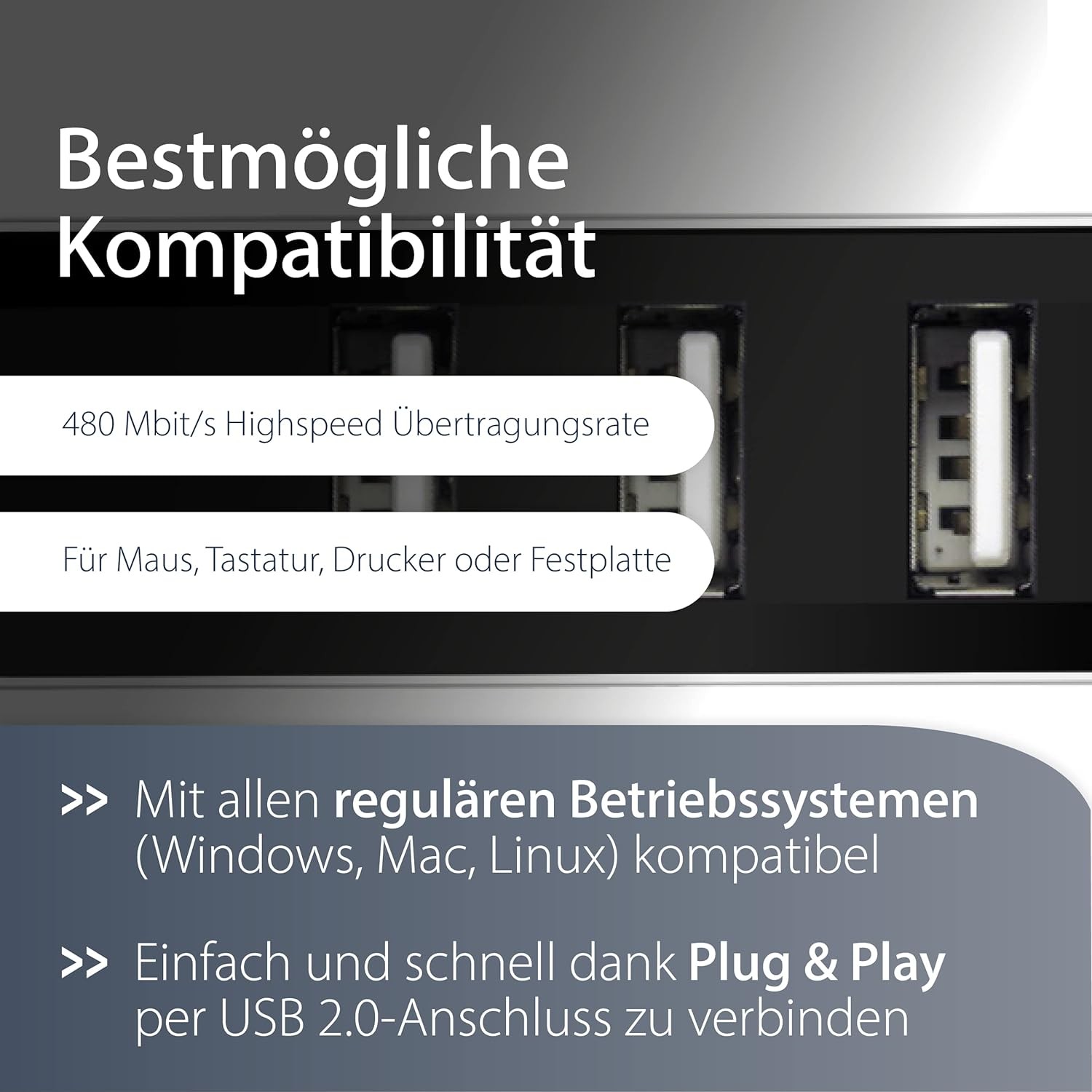 Bild 3 von 5