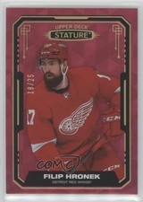 2021-22 Upper Deck Stature Red Design Variant 18/25 Filip Hronek #47 4p5