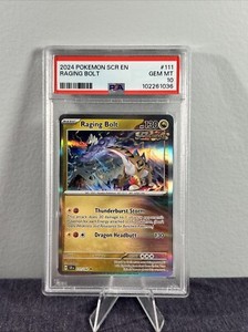 Raging Bolt 2024 Scarlet & Violet: Stellar Crown #111/142 Holo Price ...
