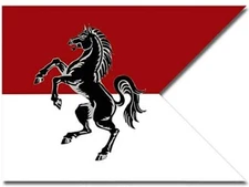 3x4 inch 153rd Cavalry Regiment Darkhorse Flag Sticker (Logo Scouts) Army Lic.