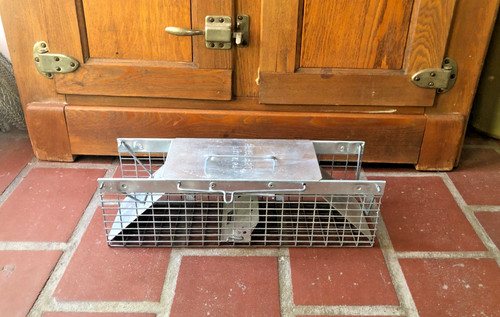 Havahart Live Animal Cage Trap Model 1025 Humane Small Squirrel Chipmunk Weasel