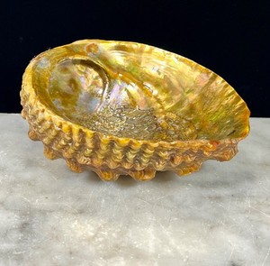 VTG Red Abalone Shell Seashell Lucite Footed Bowl Catchall Coastal Eclectic Boho