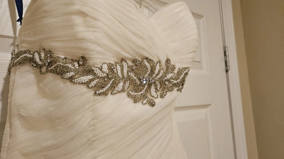 Pronovias Barcelona Barbara Size 8 Strapless Wedding Dress  - Image 3 of 4