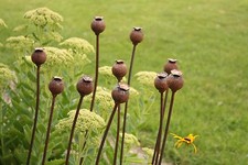 Set of 3 Medium Metal Poppy Seed Heads Decorative Garden Rusted Support. 1.12m