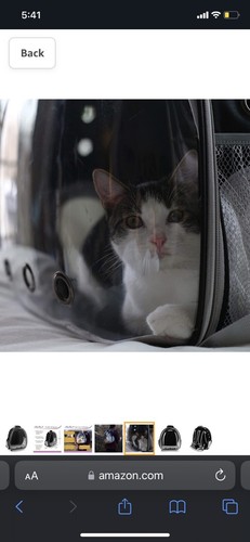 Brand New Pet Transparent Bubble Backpack Airline Approved Travel Carrier Blue - Picture 5 of 7