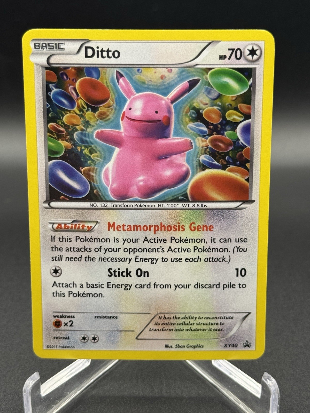 Ditto XY40 Current Market Value | Promo