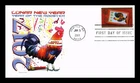 DR JIM STAMPS US COVER LUNAR NEW YEAR OF THE ROOSTER FDC PANDA CACHET