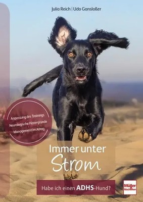 Udo Gansloßer (u. a.) | Immer unter Strom | Taschenbuch | Deutsch (2025)