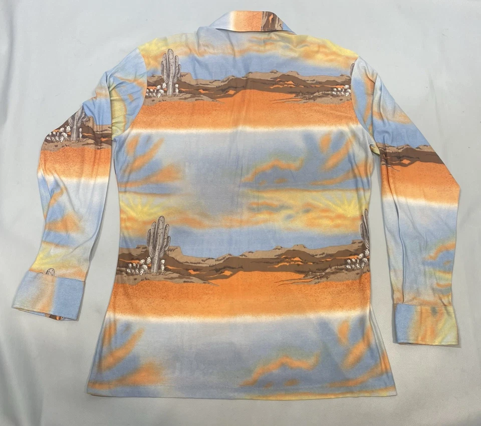 复古衬衫尺寸 XL 17 1/2 沙漠仙人掌西部银色 60 年代 70 年代 — 第 2/4 张图片