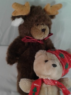 cuddly moose