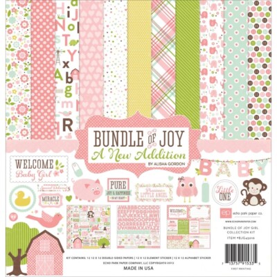 12'' x 12'' Scrapbooking Paperpad Cardstock Echo Park Paket Joy Girl 12 Blatt