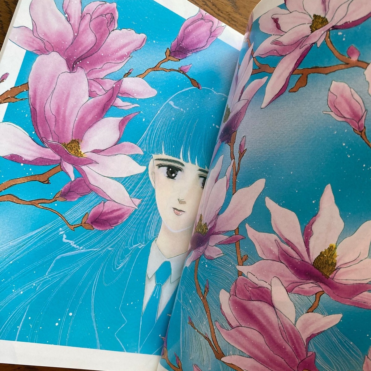 Please Save My Earth Aizou-ban vol.8 Saki Hiwatari Japan Manga