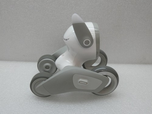 Robot Loona Pet funzionante testato - Foto 6 di 7