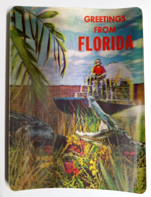 Greetings from Florida Airboat Lenticular Postcard 3D 1960s Everglades Alligator