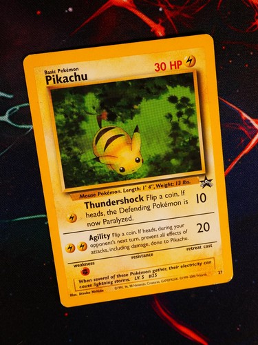 Pikachu (27)