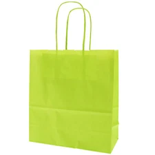 Lime Green Paper Carrier Gift Bags - Bright Birthday Party Loot Bag 18x25+8cm