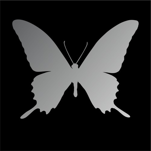 BUTTERFLY Decals Sticker, Vinyl, Car, Truck, Window, Choice of Sizes & Colors - Picture 14 of 15