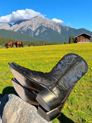 Lucchese Bootmaker Mujer 2023 Negro Pluma Completa Avestruz N4091.54 Talla 7-B 720-17531 - Imagen 10 de 12
