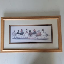 Vintage Art LaMay  Framed Print of All American Boys picture of 8 duck species