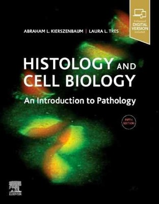 Histology and Cell - Paperback, by Kierszenbaum M.D. Ph.D. - Very Good v
