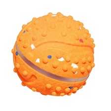 Exercise Burning dog Training Ball Rapid Charging Trait Promotes Active Play