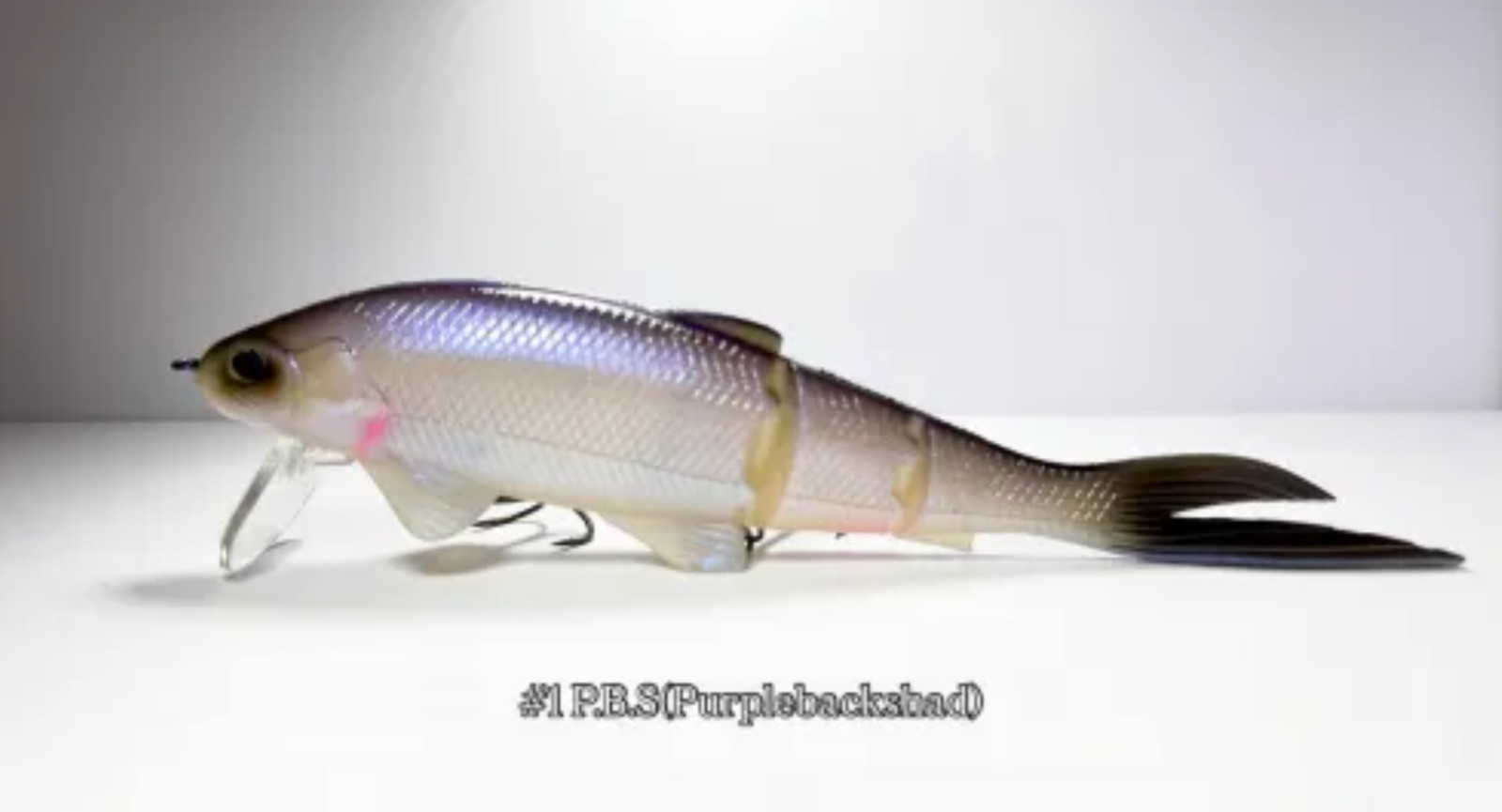 BAUM MUON #1 P.B.S Color 2oz 6inch Swimbait JDM NEW Japan - Image 3