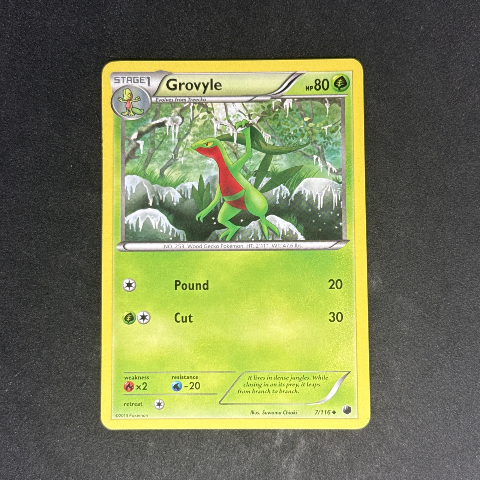 NM Grovyle 7/116 Plasma Freeze Uncommon